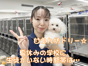 先生たちもモデル犬のお世話☆
